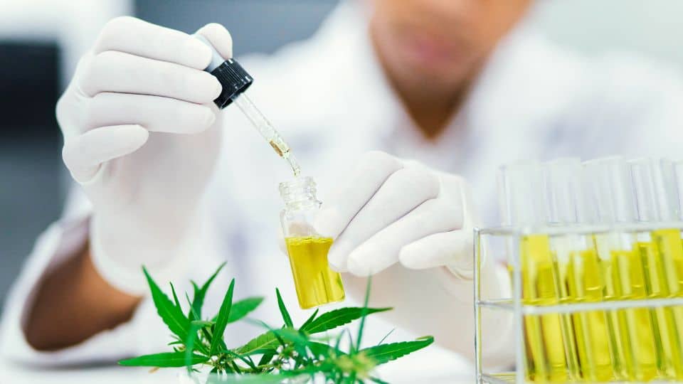 מוצרי ה-CBD שלא הכרתם!