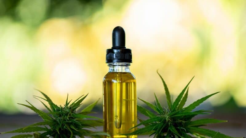 שמן CBD או פטריות מרפא