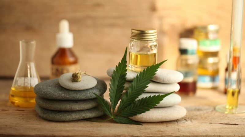 שמן CBD או פטריות מרפא
