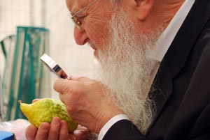 החג של ארבעת המינים