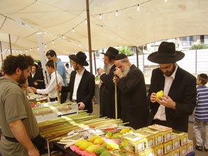 השוק שמאחורי ארבעת המינים
