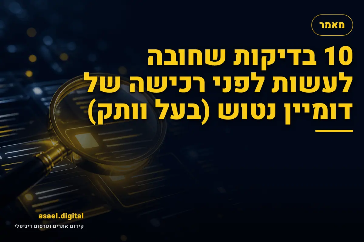 10 בדיקות שחובה לעשות לפני רכישה של דומיין נטוש (בעל וותק)