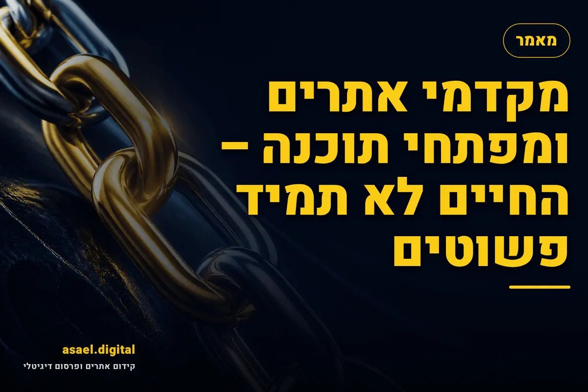מקדמי אתרים ומפתחי תוכנה – החיים לא תמיד פשוטים