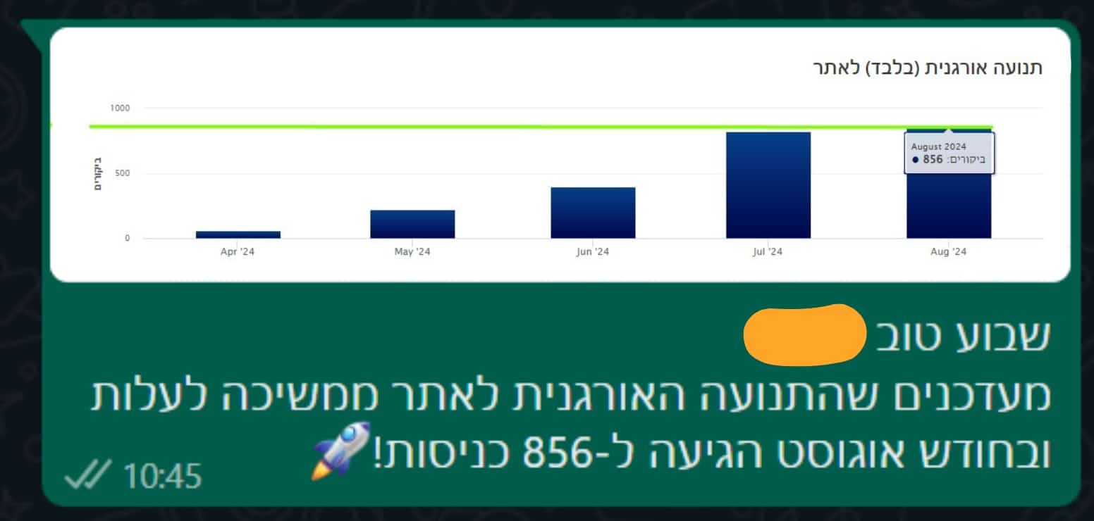 856 כניסות אורגניות ושיא חדש — אוגוסט 2024