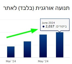 המסלול החודשי של הצמיחה האורגנית — יוני 2024