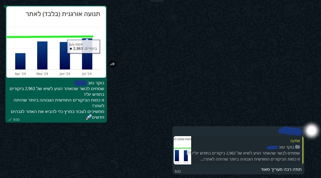 תנועה אורגנית: 2,963 ביקורים או כניסות — יולי 2024