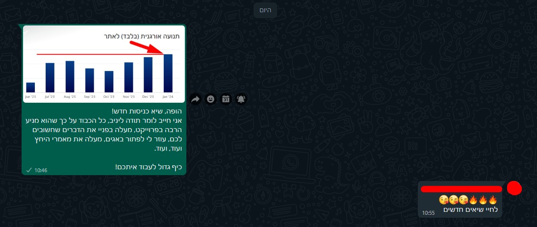 מבט נוסף: כך התקבל עדכון השיא החודשי — פברואר 2024
