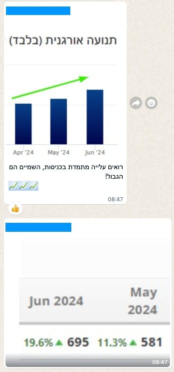 תנועה אורגנית: שינוי או שיעור של 11.3% ו־19.6% — יוני 2024