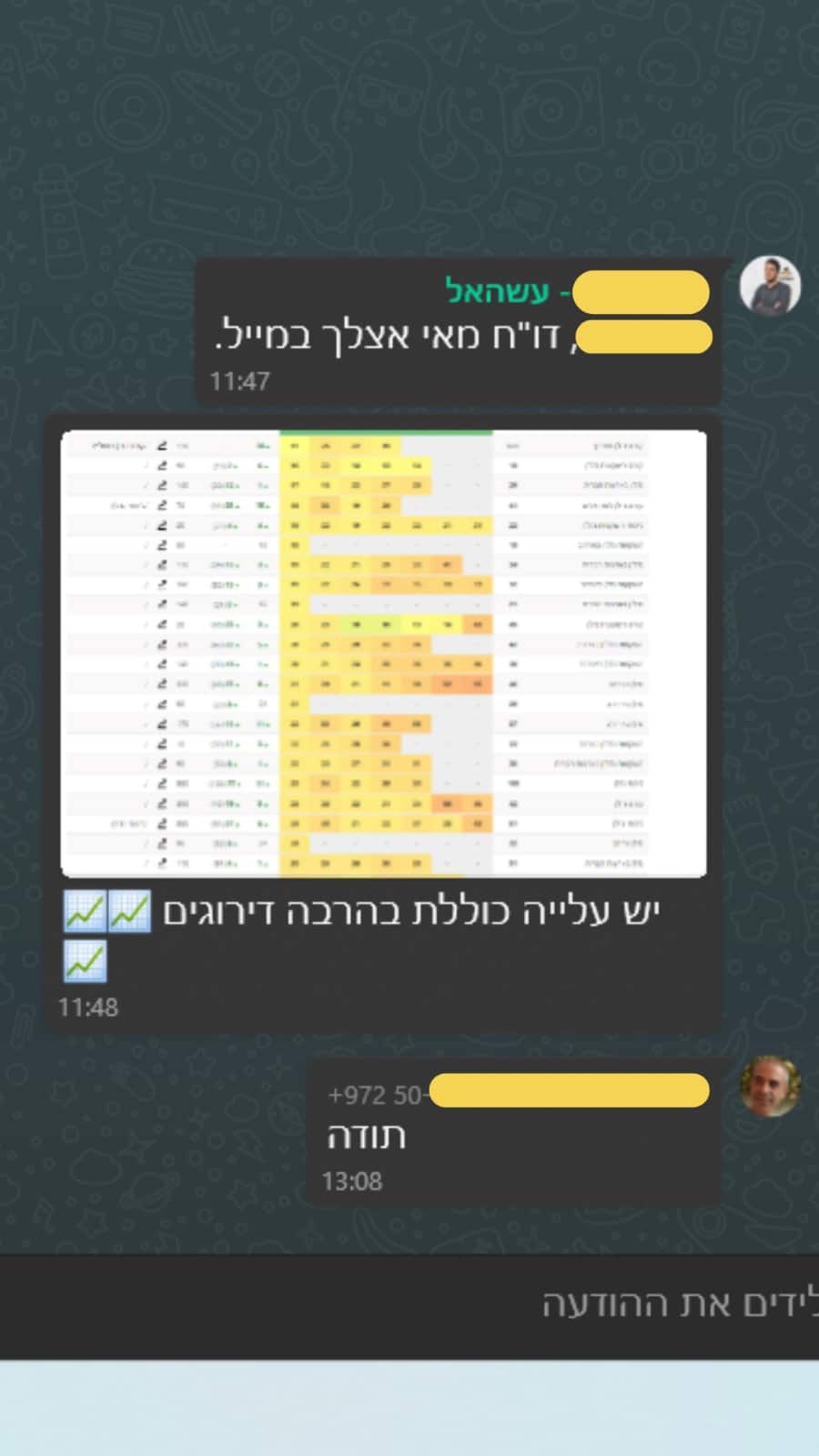 עדכון ומשוב על התקדמות בדירוגים — מאי 2024