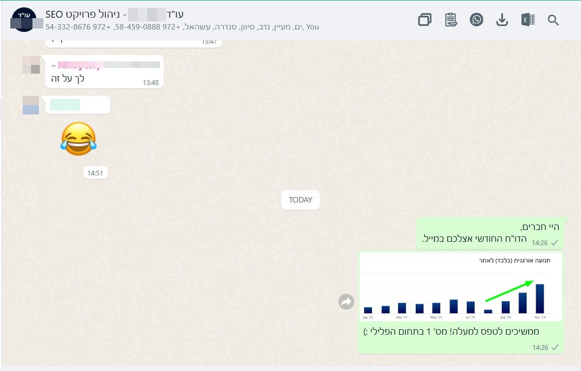 התרחבות התנועה שמגיעה מחיפוש — נובמבר 2024