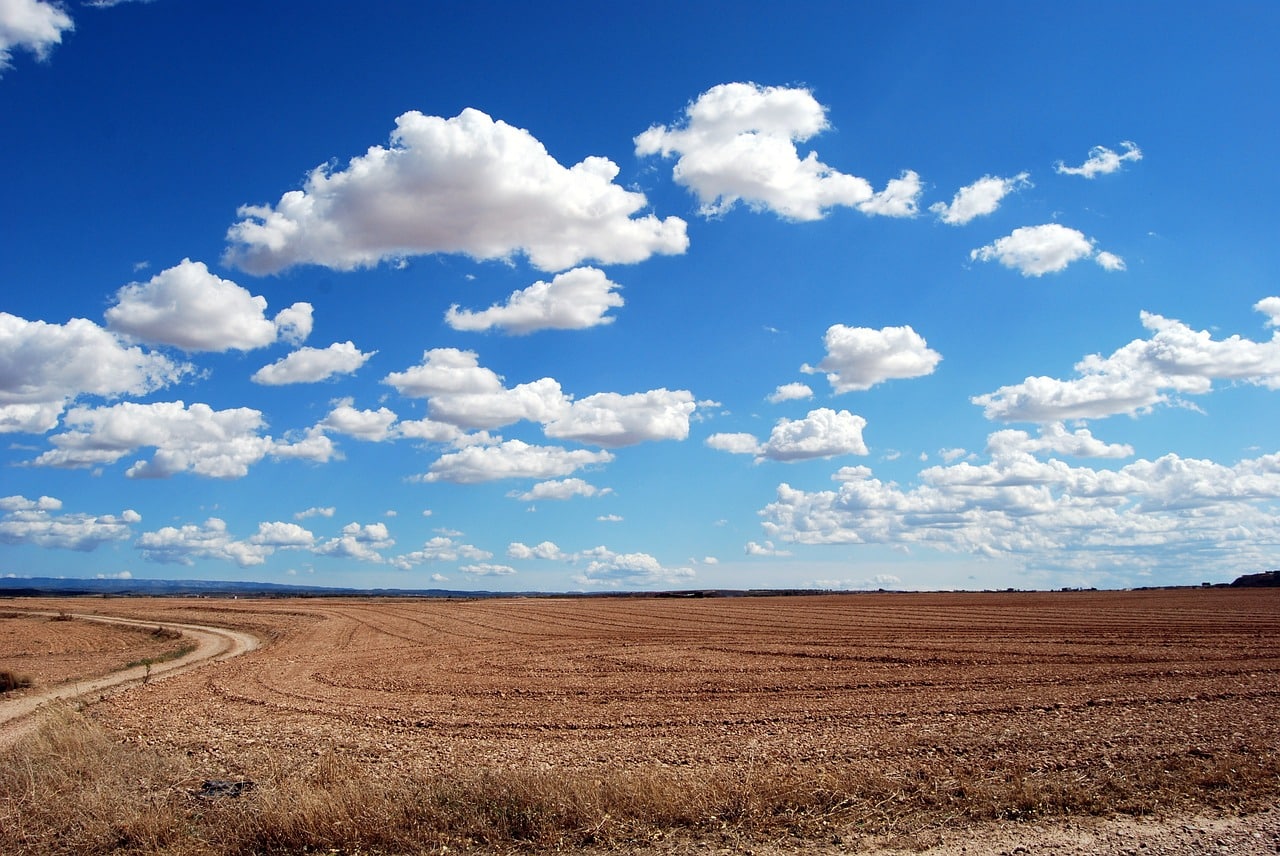 קרקעות חקלאיות