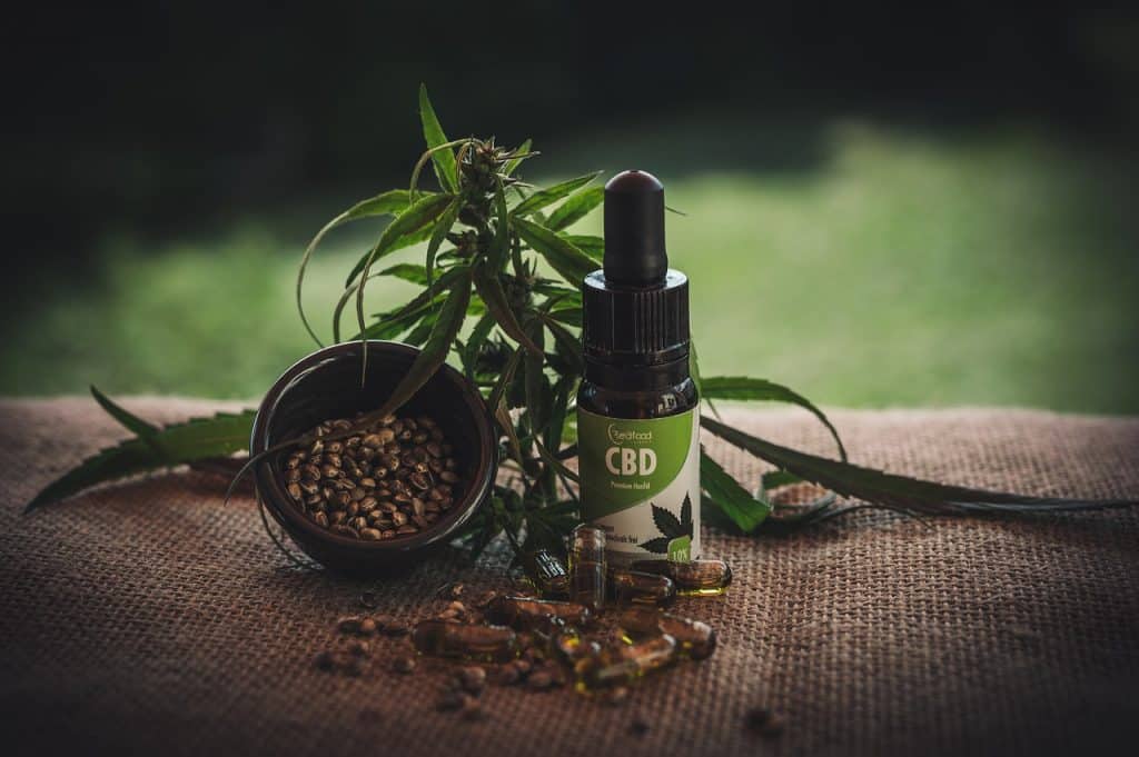 צמח קנאביס ושמן CBD