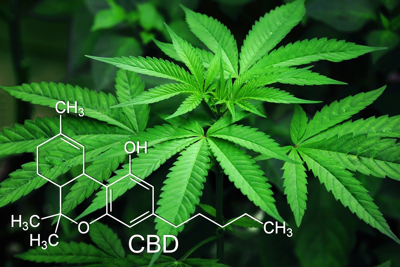 מהן תופעות הלוואי של CBD?