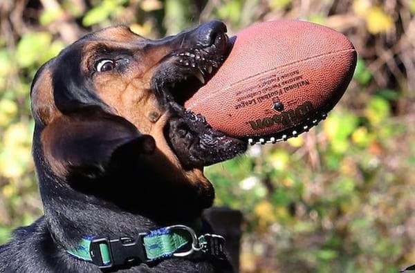 Amazing Photos You Don’t See Everyday