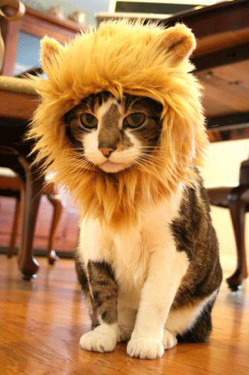 Crazy Gift Ideas –Special products to surprise your special ones