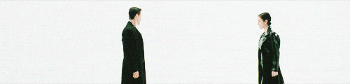 the matrix preliminary viewings