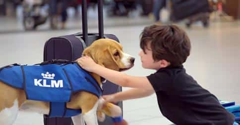 Mashable