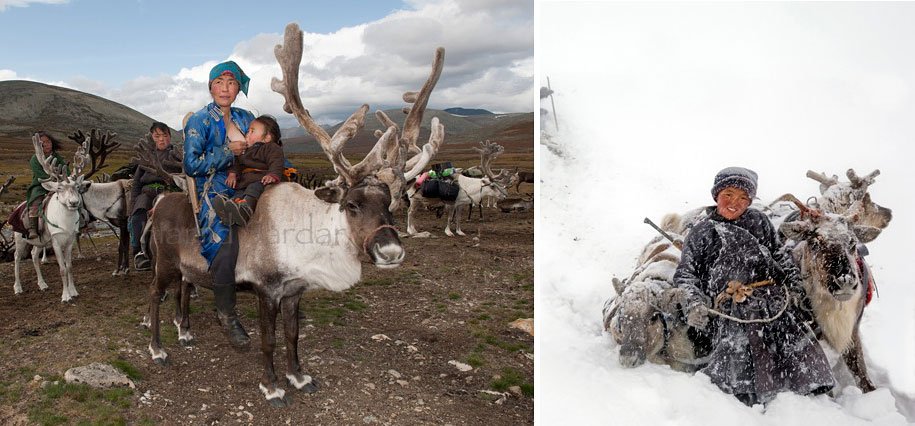 Beautiful photos of Mongolian Reindeer People