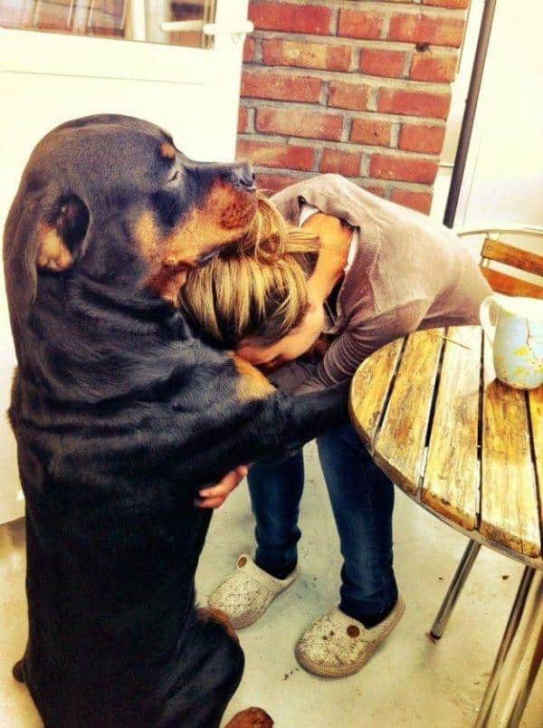 Animal Hugs – sometimes it is better than the human ones