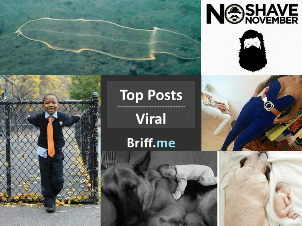 Large Ambition Unveiled and Double Standard Everywhere – Viral Briff