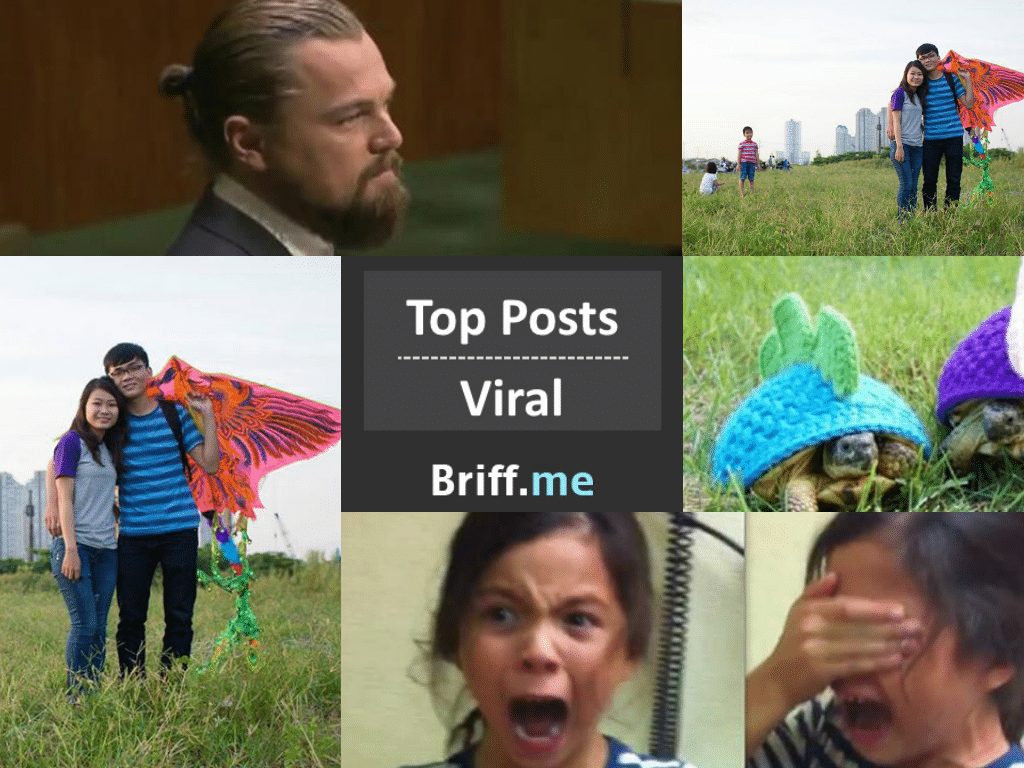 Watch The Strong 3 Minutes Video Stunned The World Politicians and The Winter Fun of The Animals – Viral Briff