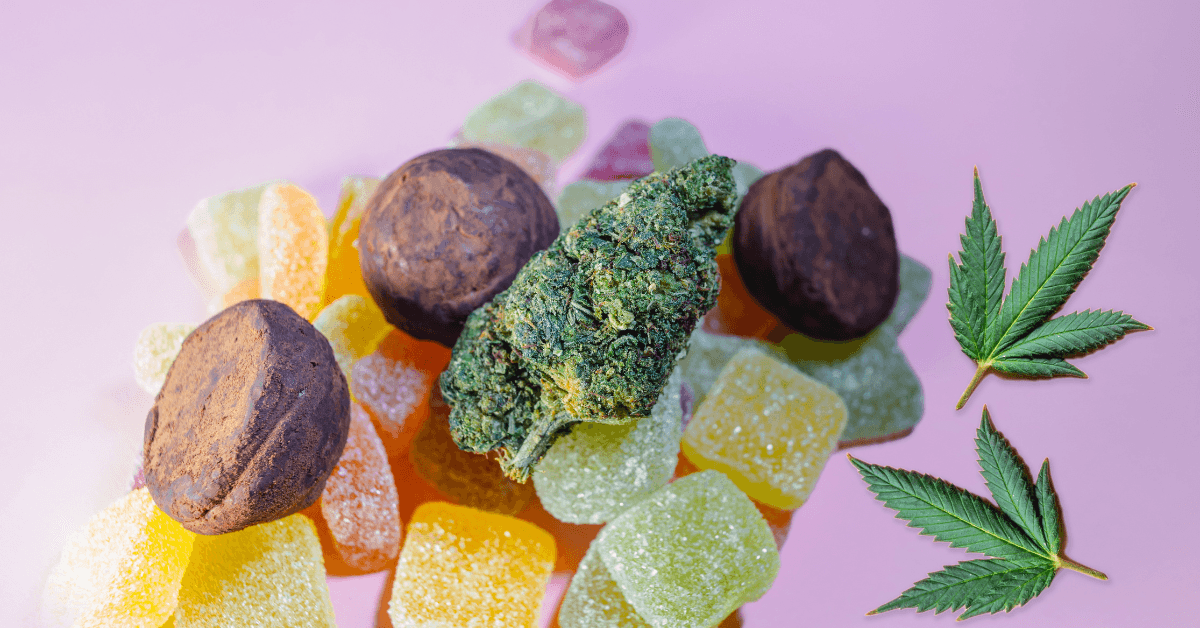 איך להכין מאכלי CBD משלך