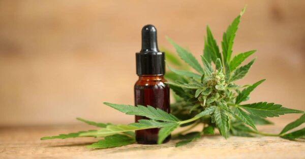 מהו CBD וכיצד הוא יכול לשפר את איכות החיים שלך?
