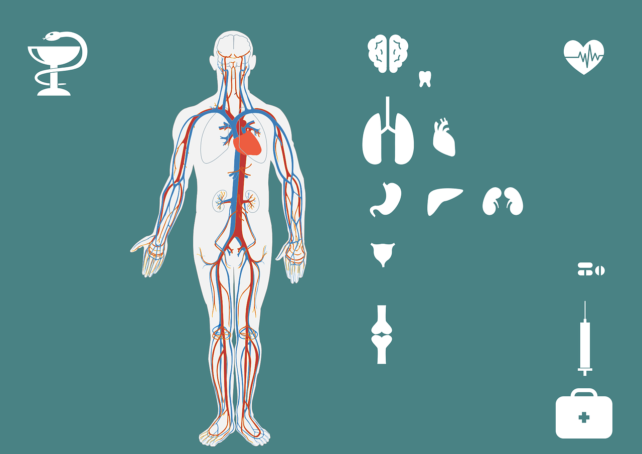 ×-לקי גוף