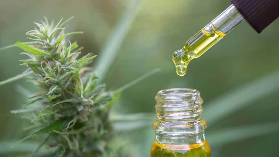 גלה את פוטנציאל הריפוי: כיצד שמן CBD יכול לשפר את בריאותך