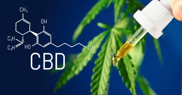 קונספט CBD