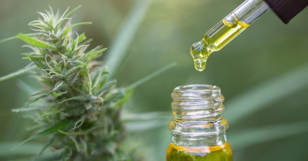 מה זה שמן CBD ומהם היתרונות שלו?
