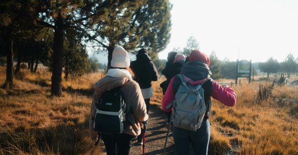 תזונה נכונה בנסיעות וטיולים: טיפים לסוכרתיים בדרכים