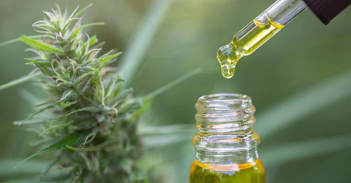 משהו שמן CBD והאם הוא עוזר לכאבים? משהו שמן CBD והאם הוא עוזר לכאבים?