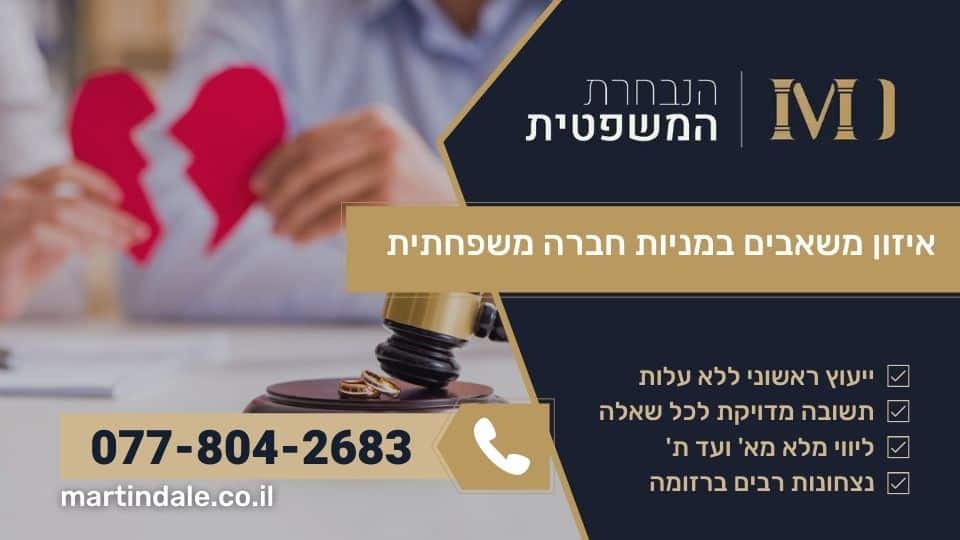 איזון משאבים במניות חברה משפחתית