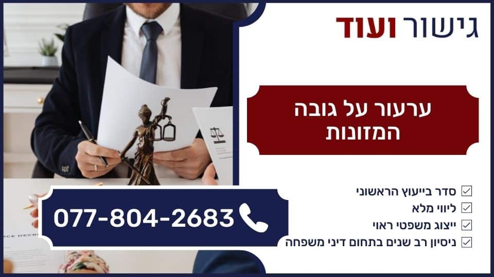 ערעור על גובה המזונות
