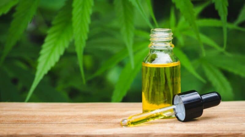 קנאביס ו CBD