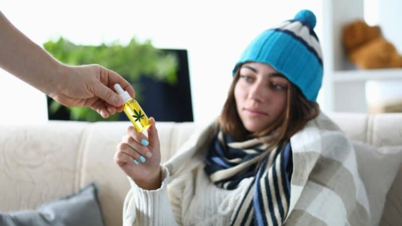 קנאביס ו CBD