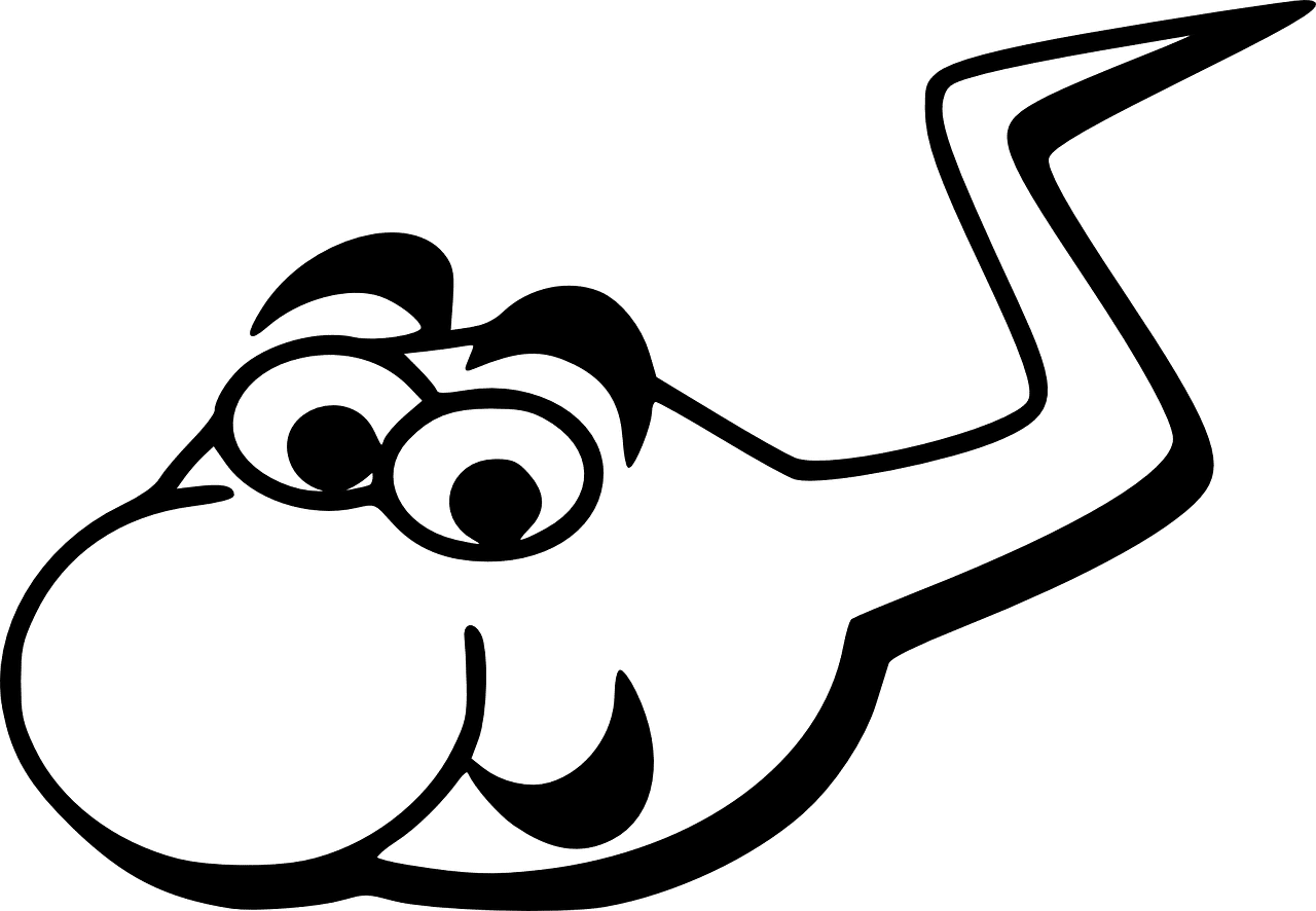 אנימציה - זרע