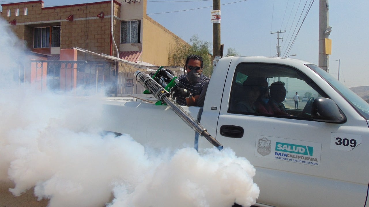 Pesticide