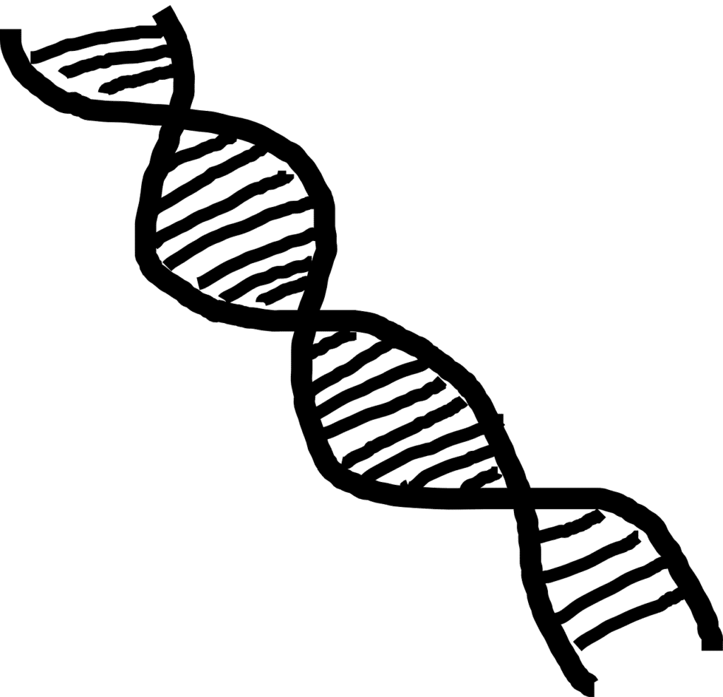 ביוטק