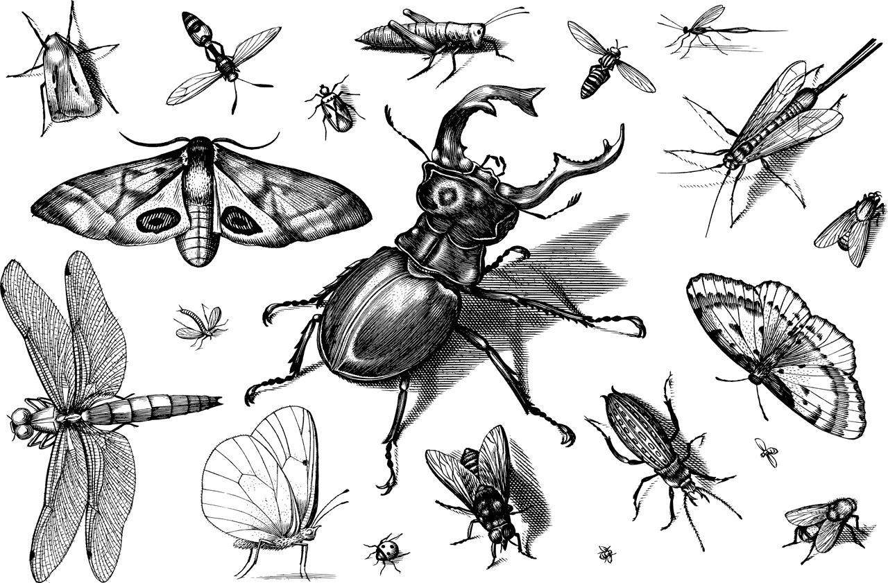 ציור מצויר