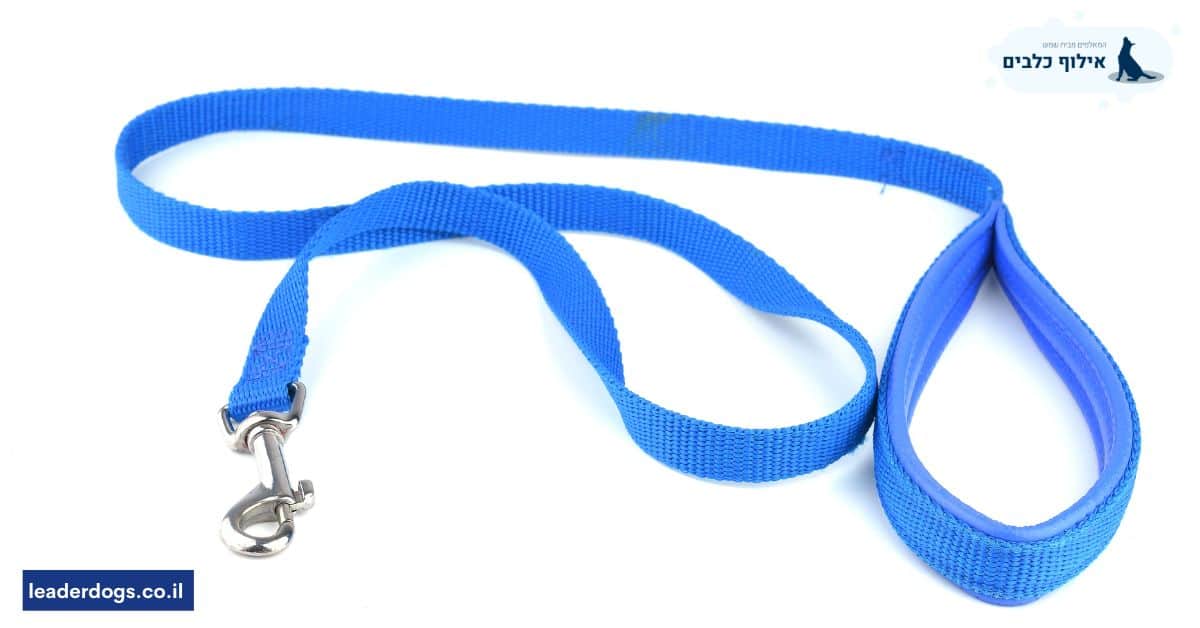 רצועת אילוף 10 מטרים