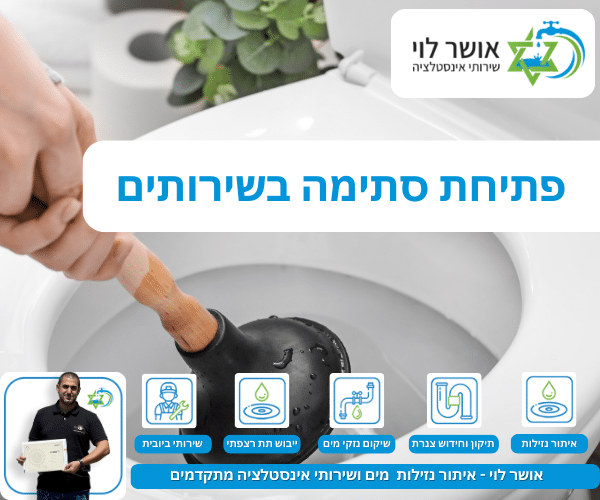 פתיחת סתימה בשירותים