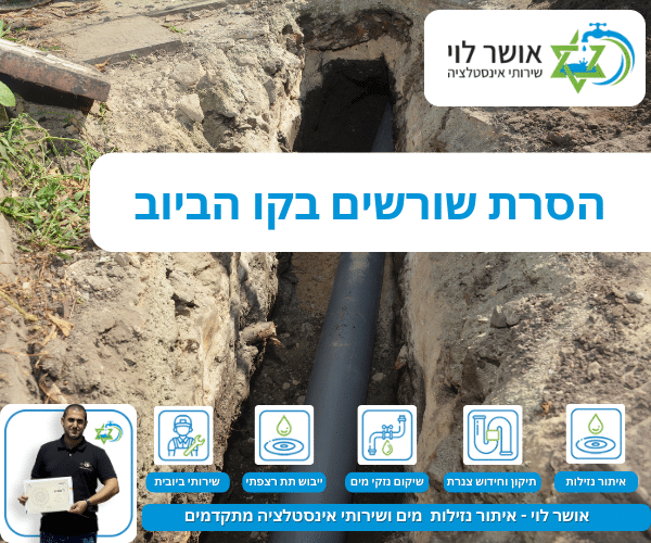 הסרת שורשים בקו הביוב
