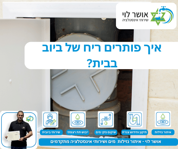 איך פותרים ריח של ביוב בבית?