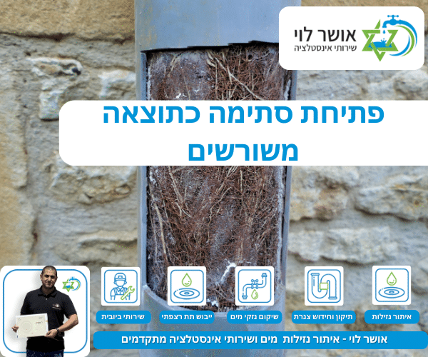 פתיחת סתימה כתוצאה משורשים