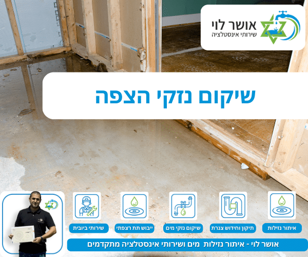 שיקום נזקי הצפה