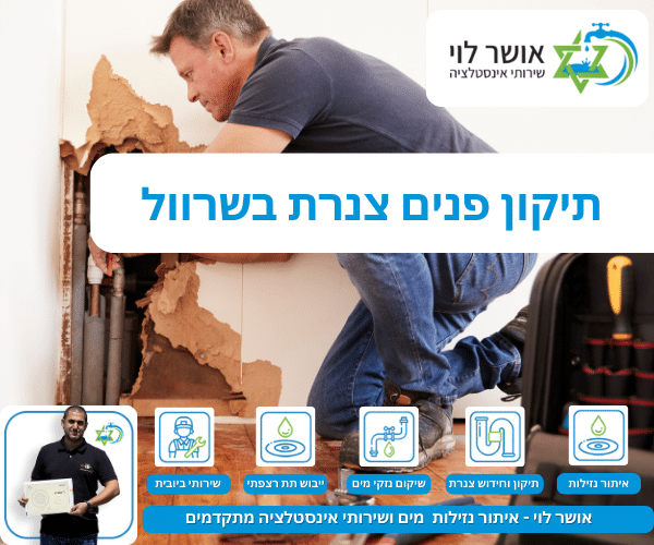 תיקון פנים צנרת בשרוול