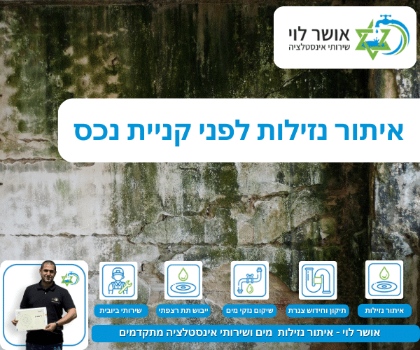 איתור נזילות לפני קניית נכס