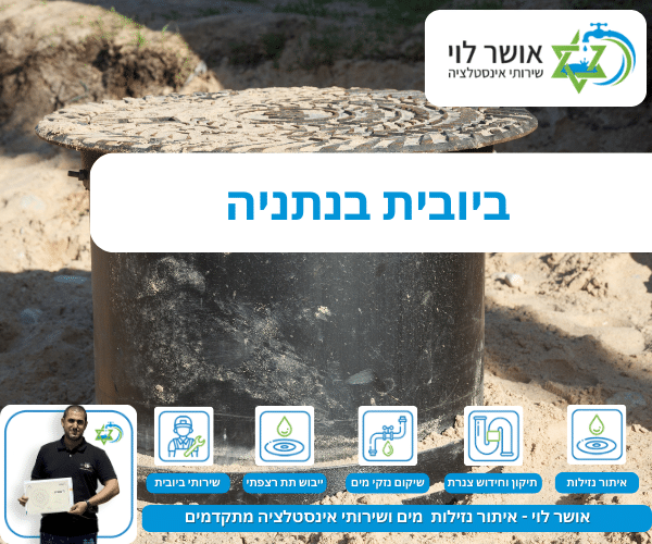 ביובית בנתניה
